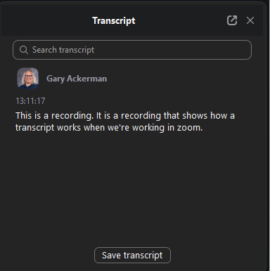 the transcript pane in Zoom