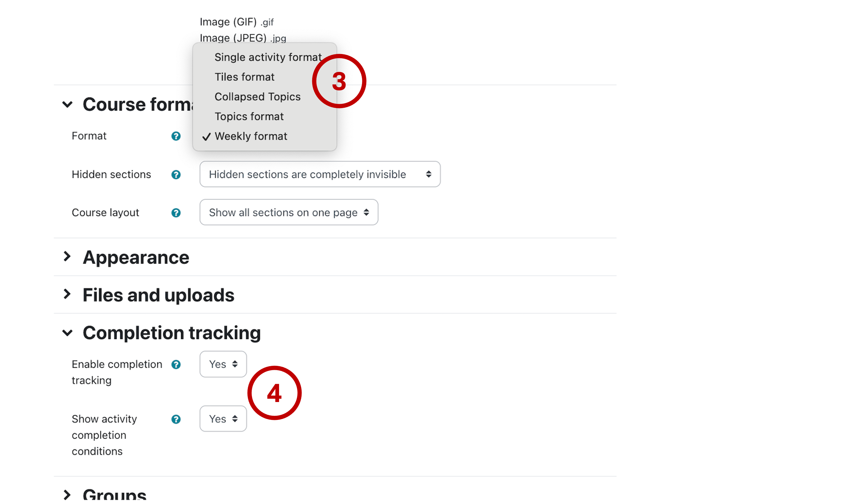 course format options and completion tracking highlighted