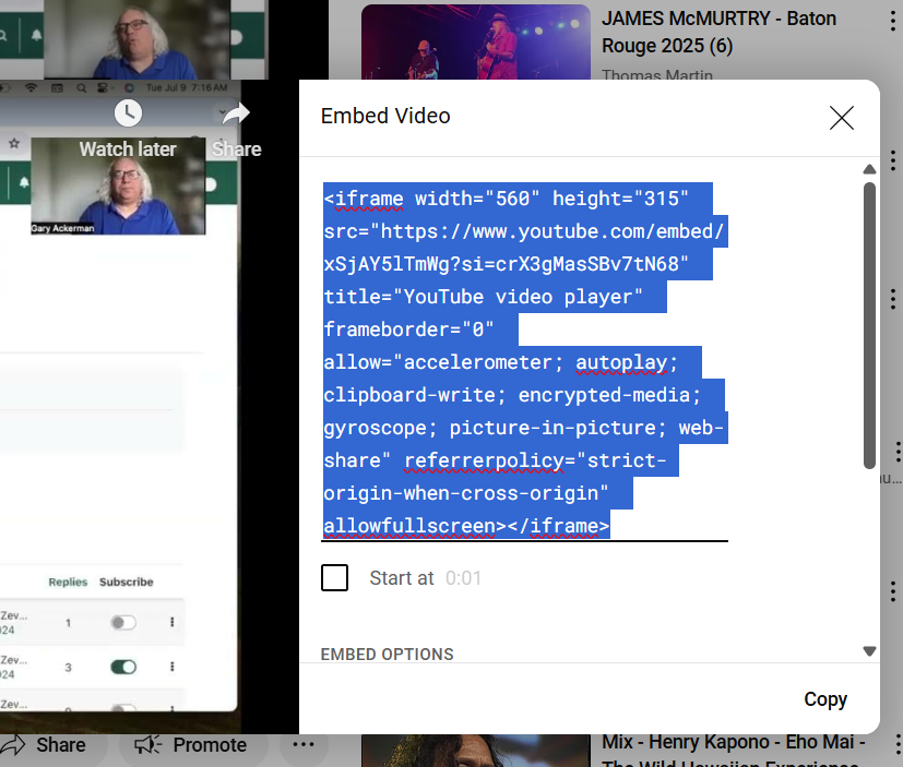 embed code highlighted