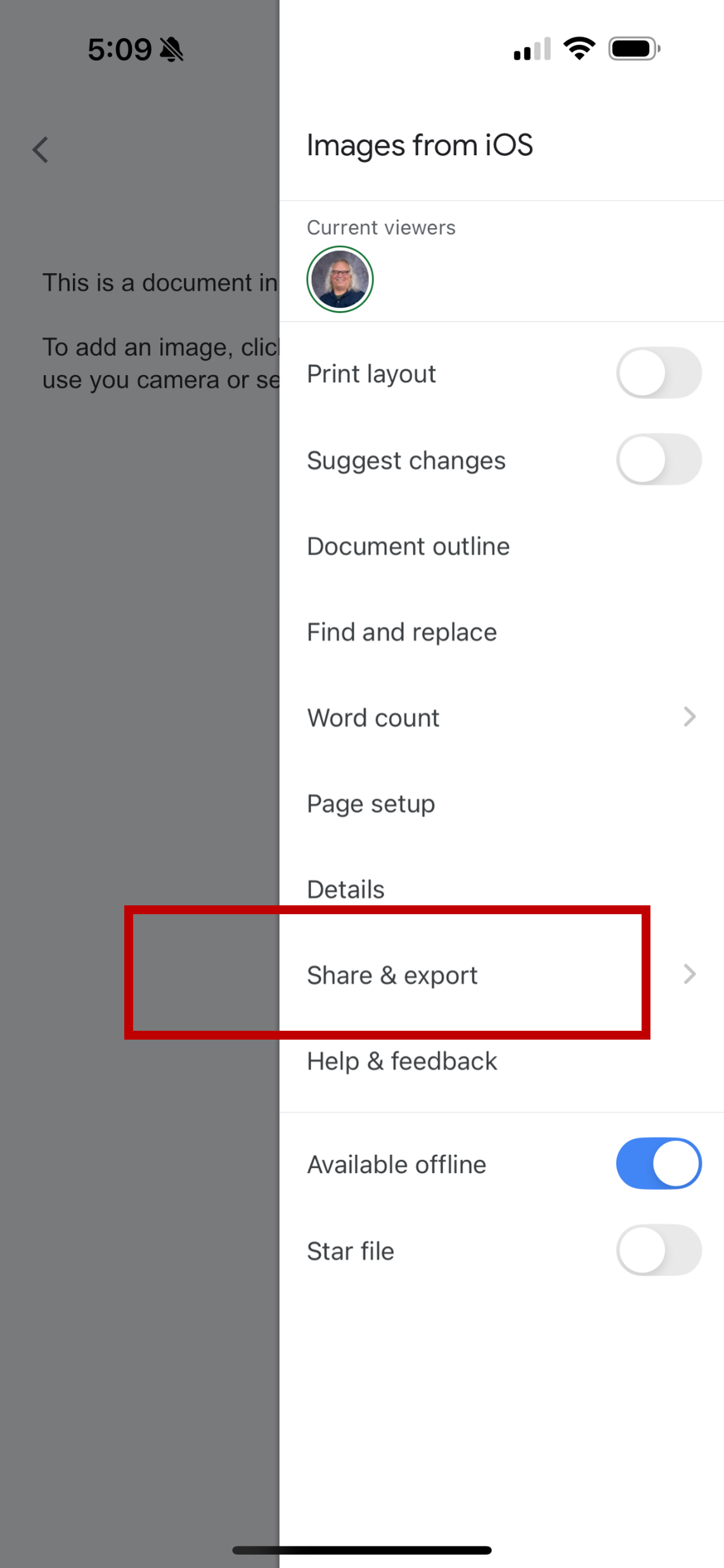 share and export menu in Google Docs