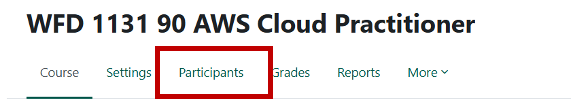 participants highlighted on a Moodle page