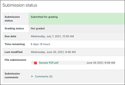 confirmation of submitted file screen