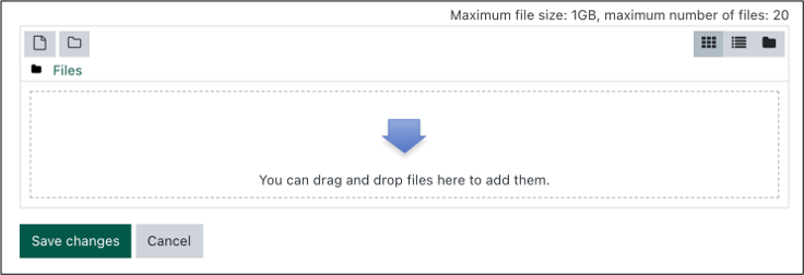 the submit file option in Moodle