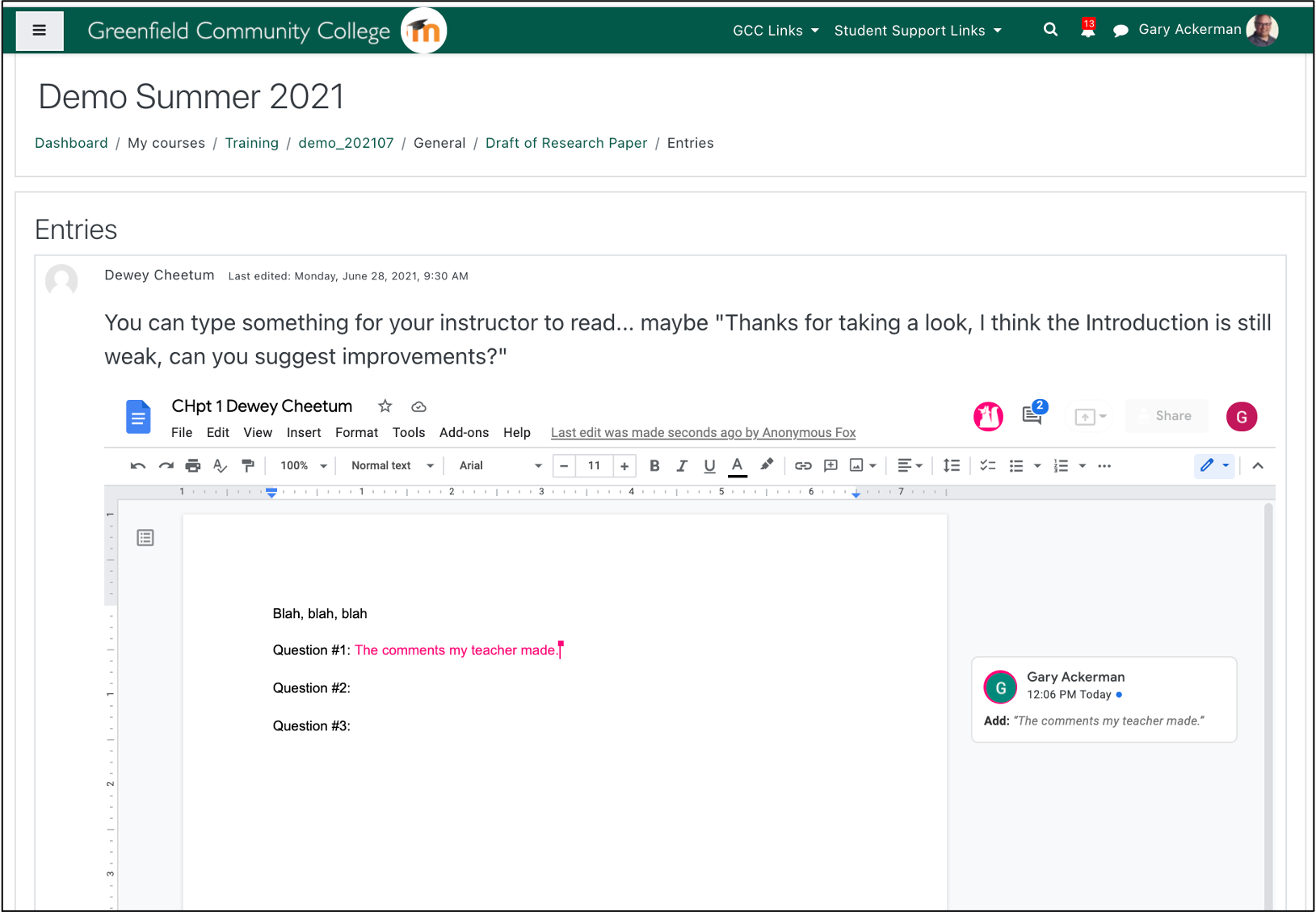 screenshot of a Google document with comment in a Moodle Journal from the student's view