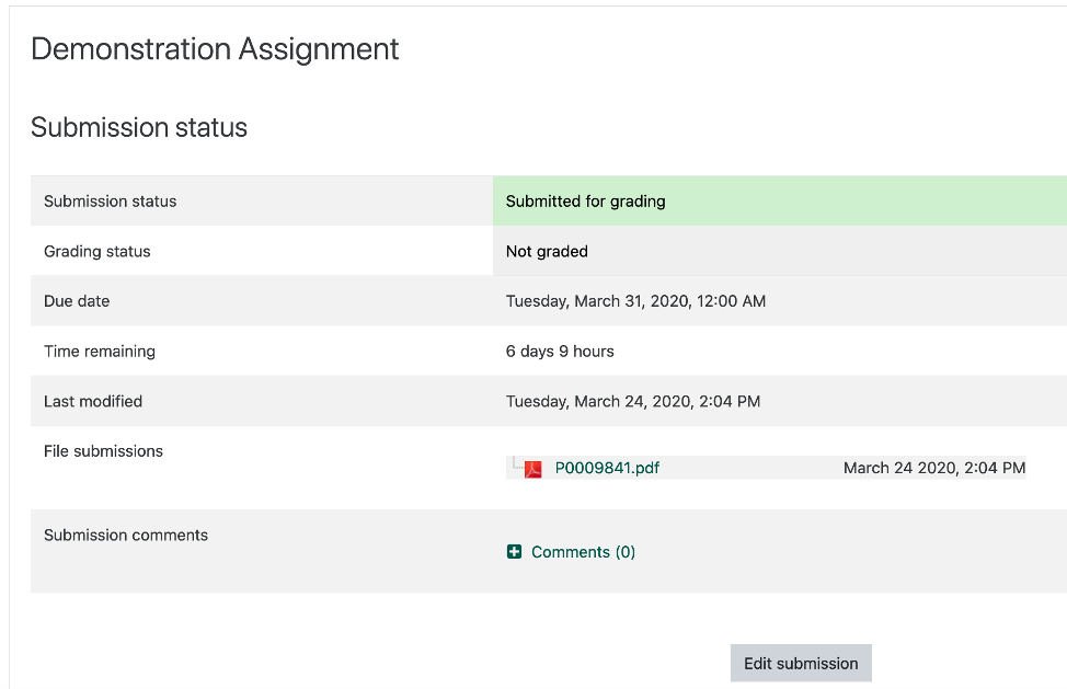 screenshot of a submitted assignment