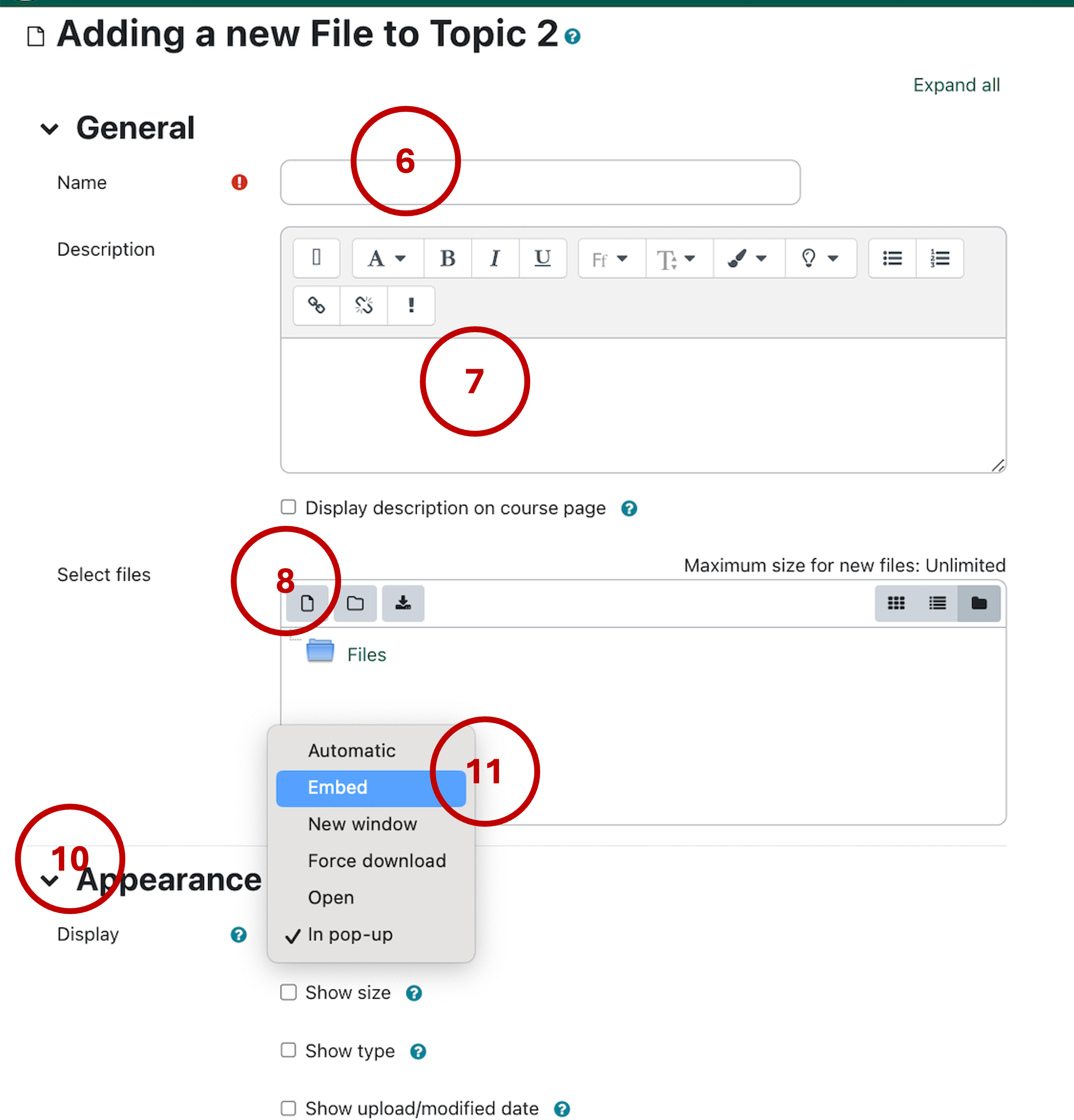 the insert file dialogue box