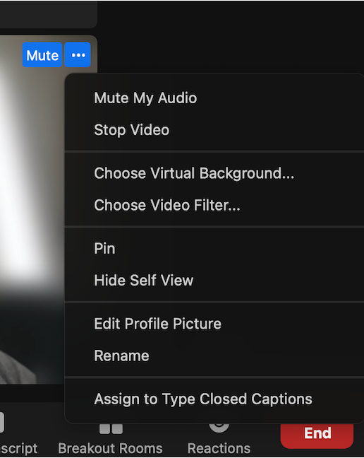 screenshot of the "Hide Self View" option in the Zoom interface