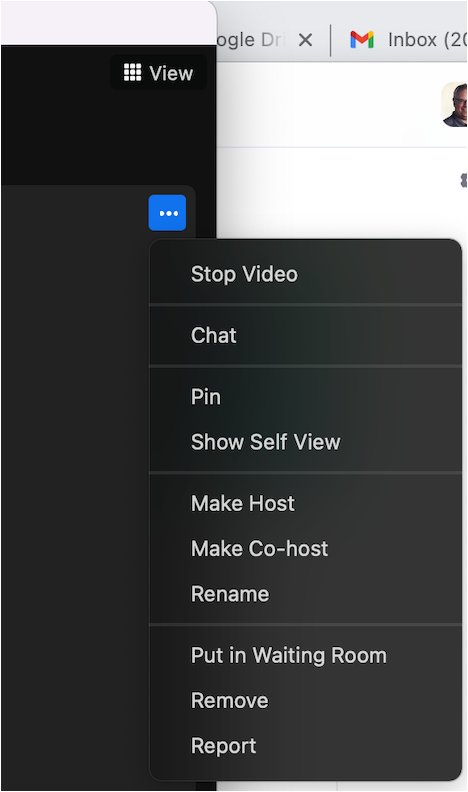 screenshot of the "Show Self View" option in the Zoom interface