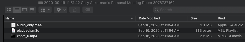 screenshot of the files in a Zoom meeting folder