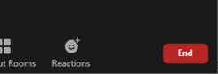 screenshot of end button