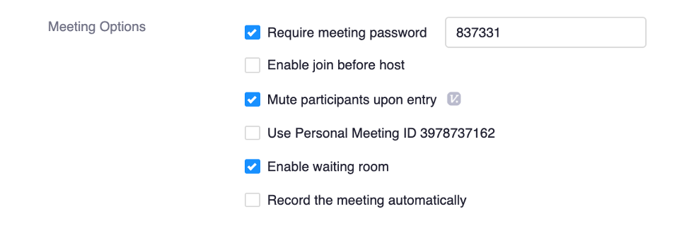 screenshot of meeting options