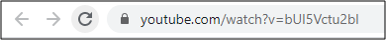 screenshot of YouTube URL