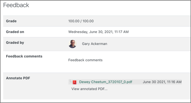 the buttons to see feedback from a student's view