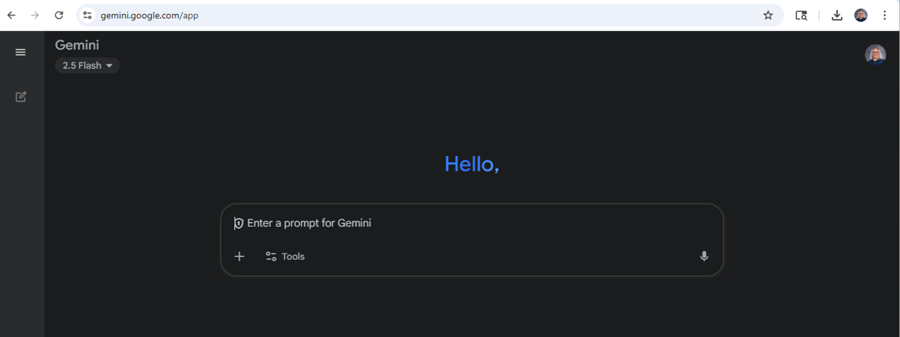 the Gemini screen once you have logged in