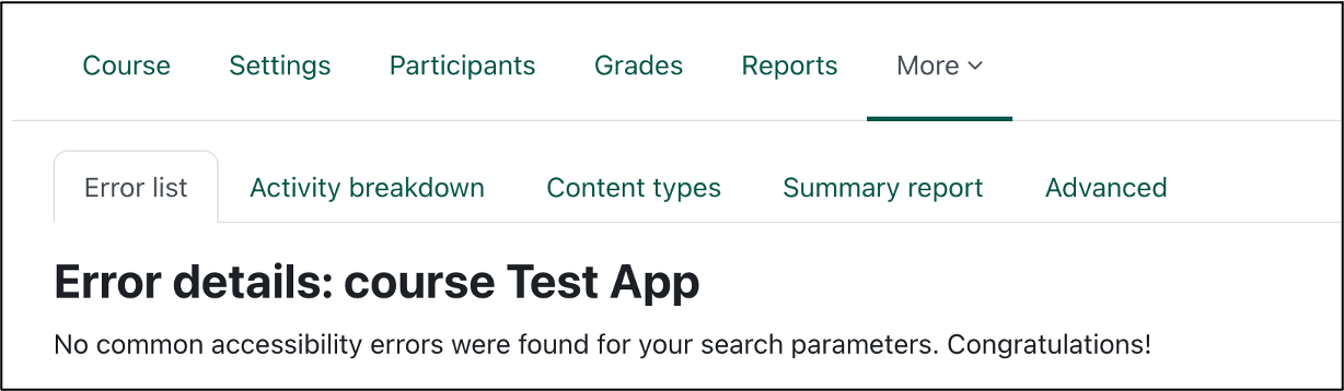 The error report from the accessibility toolkit