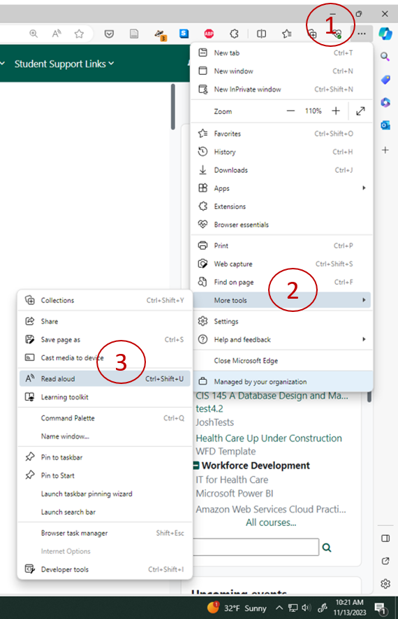 enumerated directions for opening the read aloud tool in Microsoft Edge.
